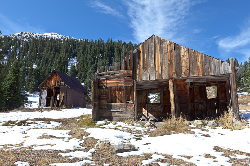 Animus Forks 1
