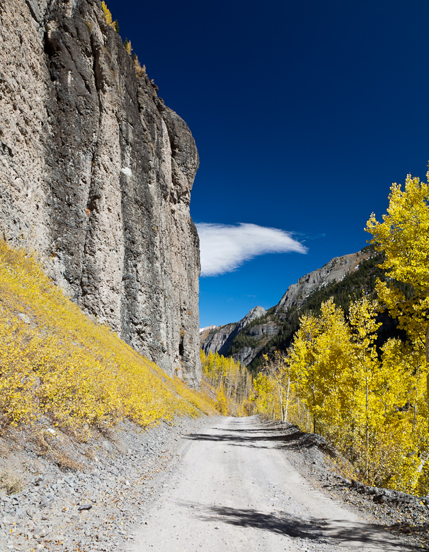 Ouray Aspens 2