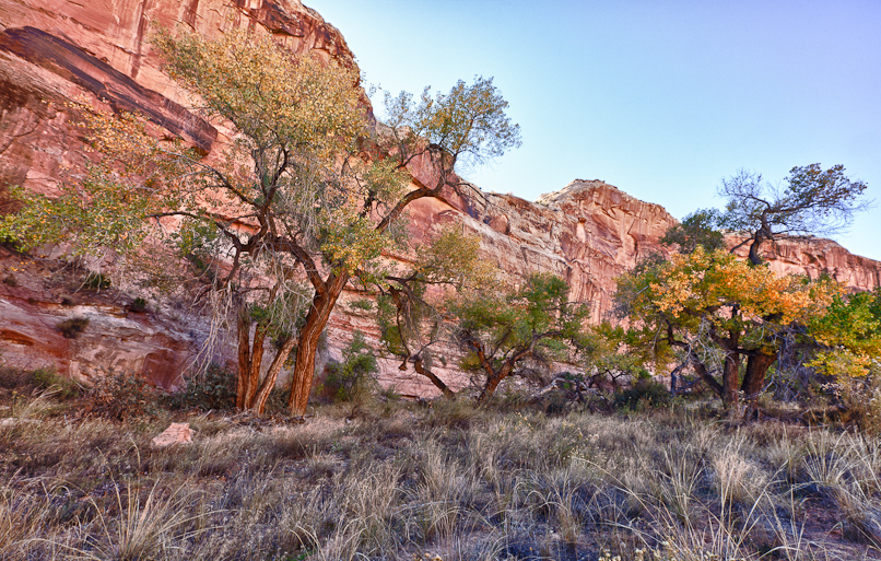 Horseshoe Canyon 2