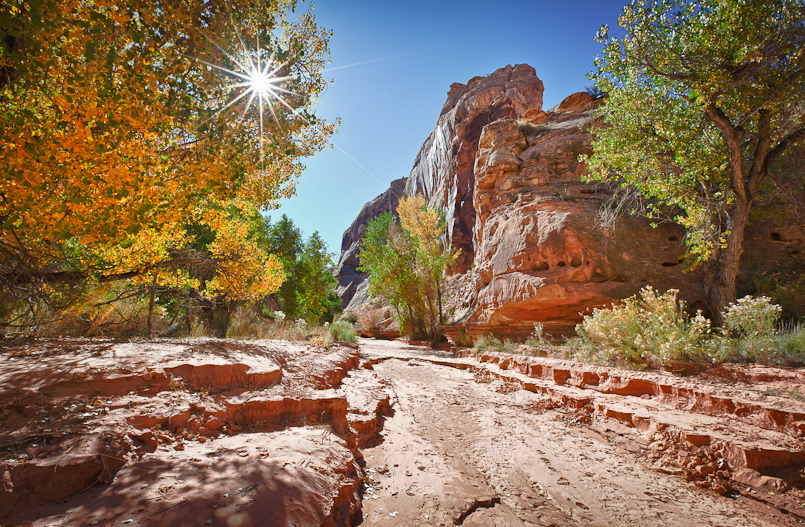 Horseshoe Canyon 4