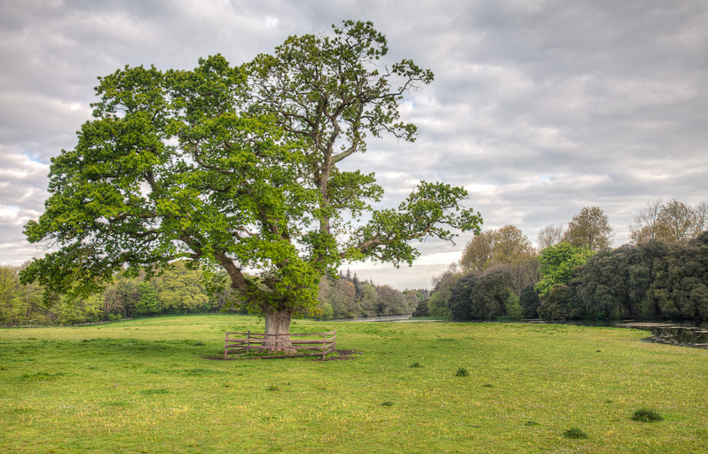 Pastoral Ireland