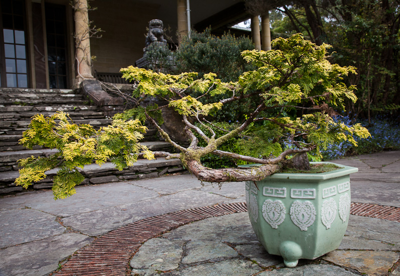Garnish Garden #4
