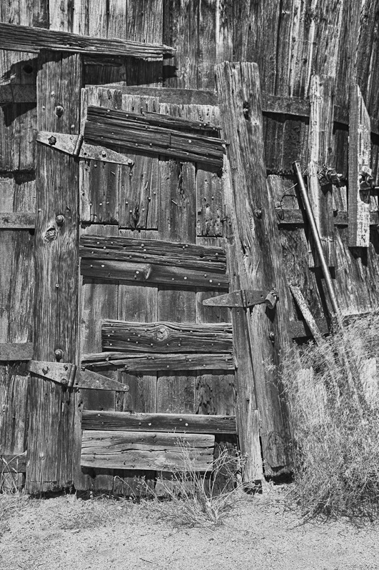 The Door
